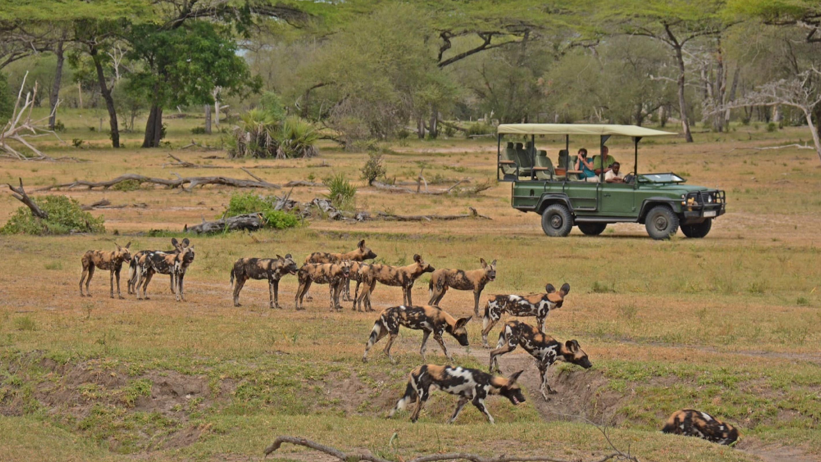 Nyerere National Park
